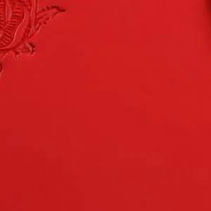 Red leather sample, close-up
